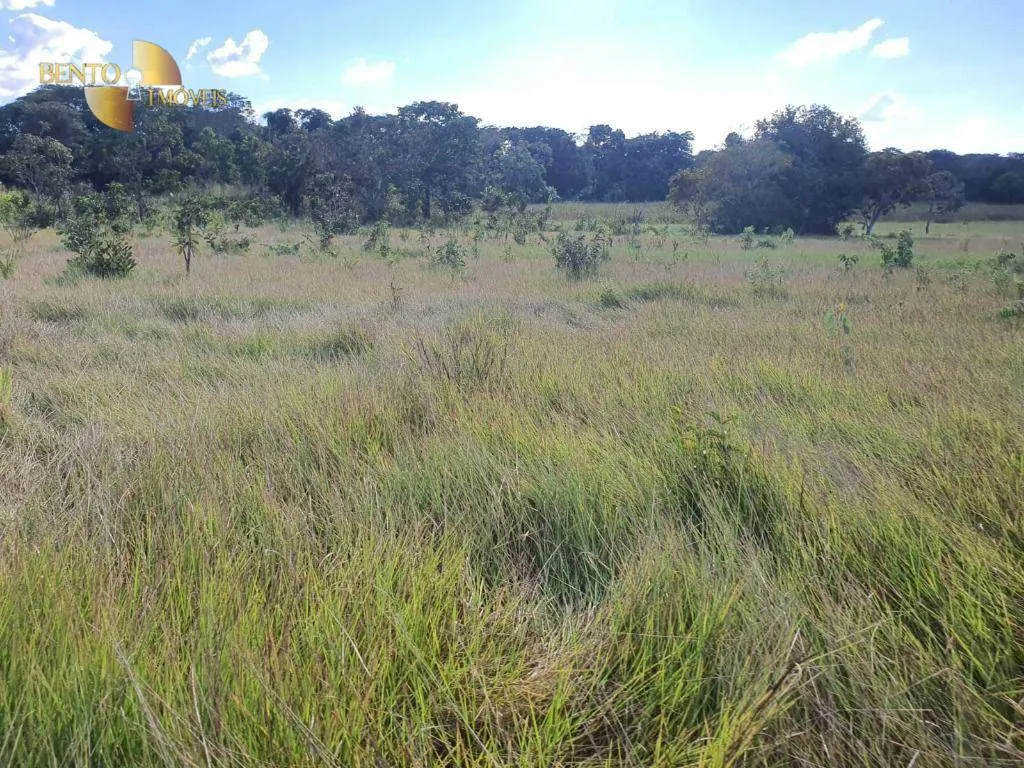 Fazenda à venda e para Arrendar de 3.250 ha em Paranatinga, MT, Brasil