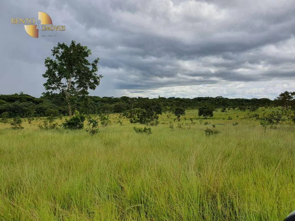 Fazenda à venda e para Arrendar de 3.250 ha em Paranatinga, MT, Brasil