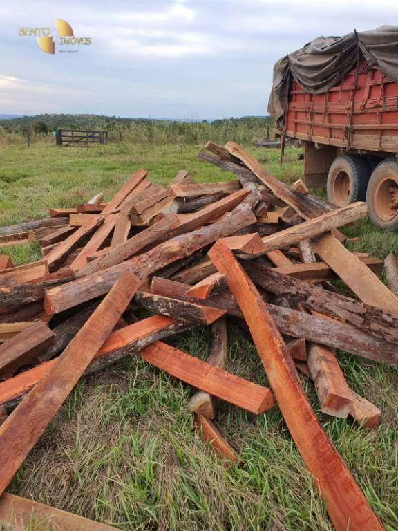 Fazenda à venda e para Arrendar de 3.250 ha em Paranatinga, MT, Brasil