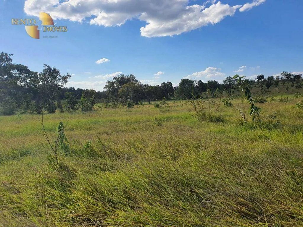 Fazenda à venda e para Arrendar de 3.250 ha em Paranatinga, MT, Brasil