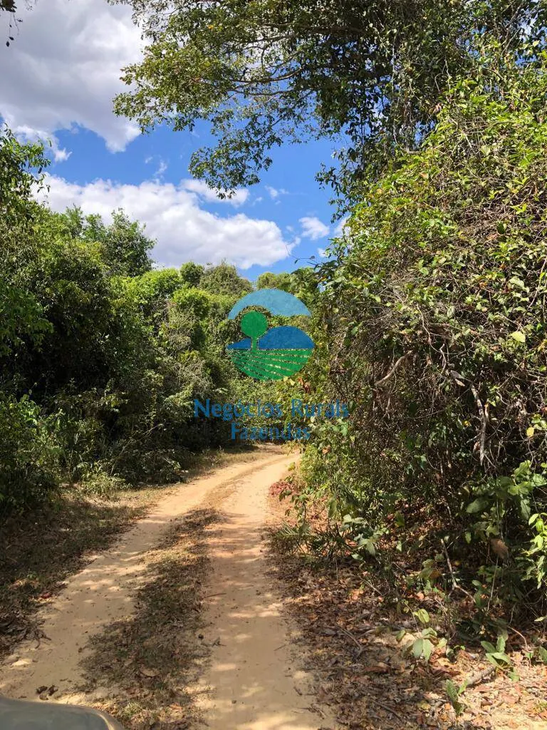 Fazenda à venda de 4.646 ha em Colinas do Sul, GO, Brasil