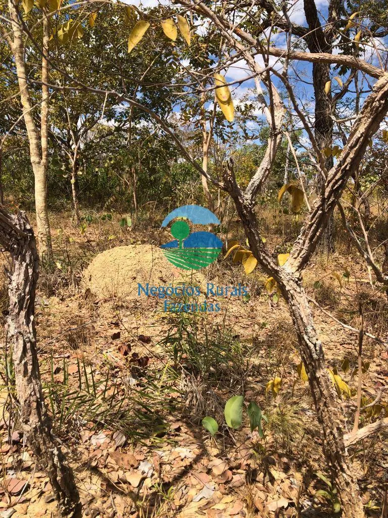 Fazenda à venda de 4.646 ha em Colinas do Sul, GO, Brasil