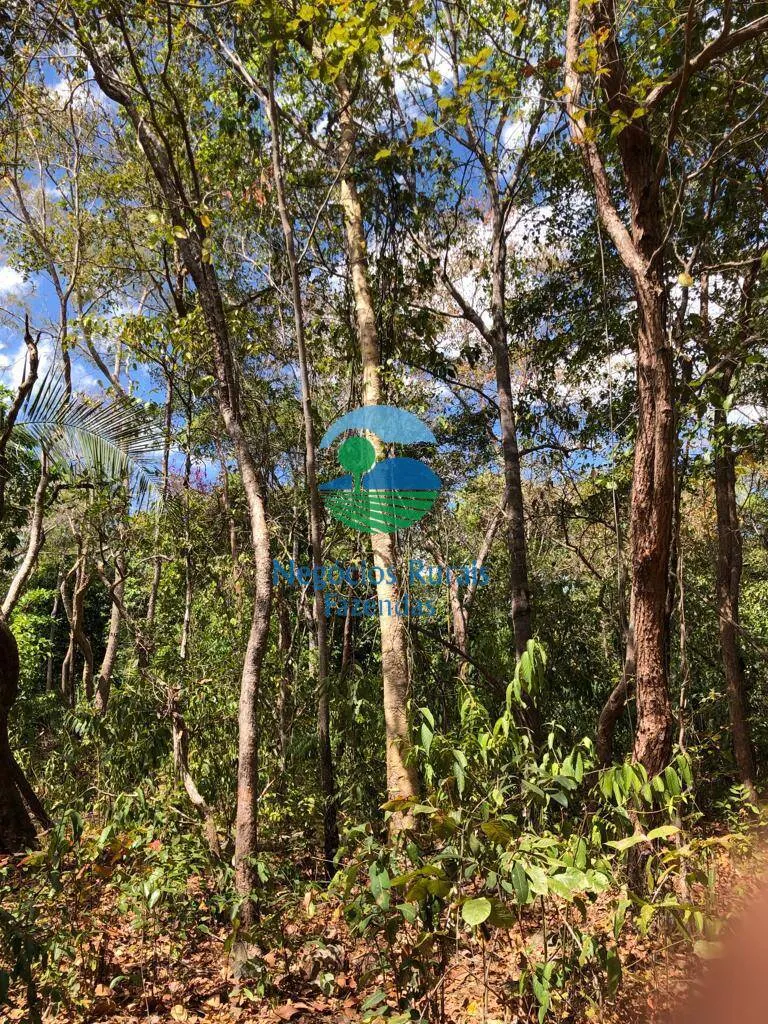 Fazenda à venda de 4.646 ha em Colinas do Sul, GO, Brasil