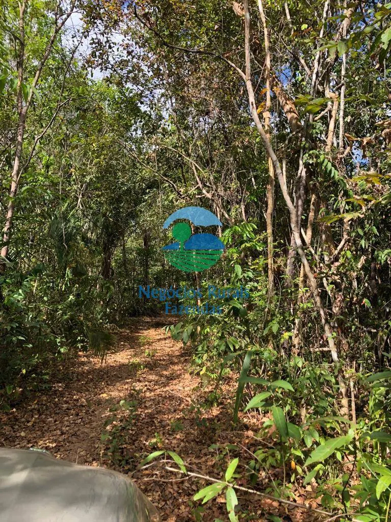 Fazenda à venda de 4.646 ha em Colinas do Sul, GO, Brasil