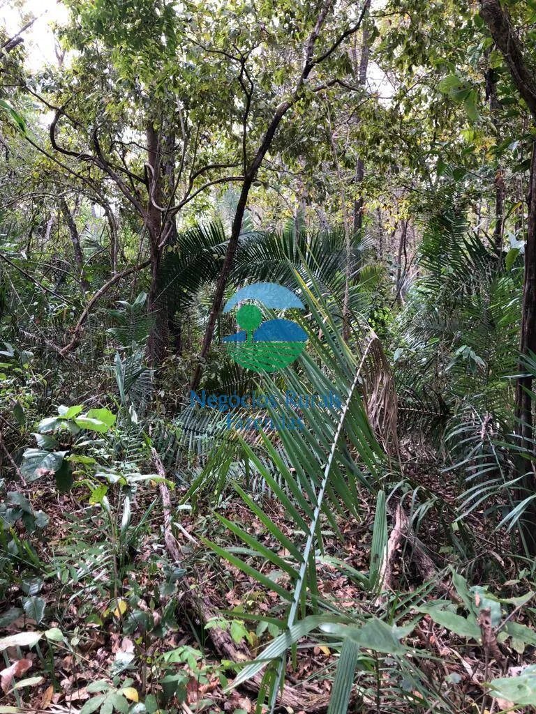 Fazenda à venda de 4.646 ha em Colinas do Sul, GO, Brasil