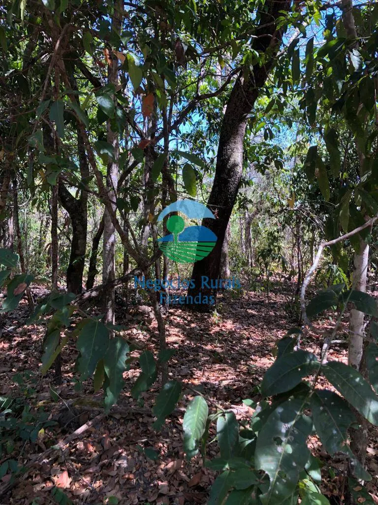 Fazenda à venda de 4.646 ha em Colinas do Sul, GO, Brasil
