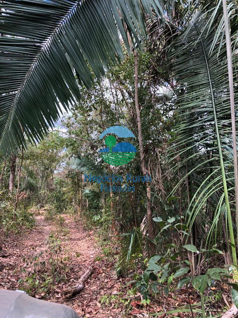 Fazenda à venda de 4.646 ha em Colinas do Sul, GO, Brasil