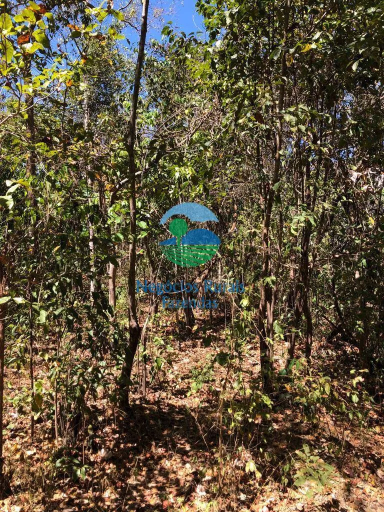 Fazenda à venda de 4.646 ha em Colinas do Sul, GO, Brasil