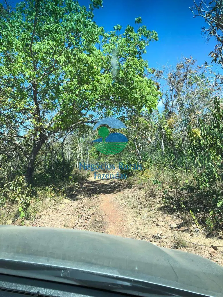 Fazenda à venda de 4.646 ha em Colinas do Sul, GO, Brasil