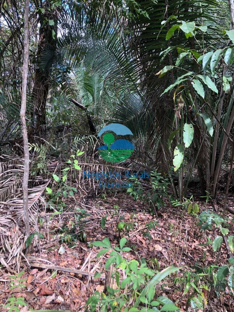 Fazenda à venda de 4.646 ha em Colinas do Sul, GO, Brasil