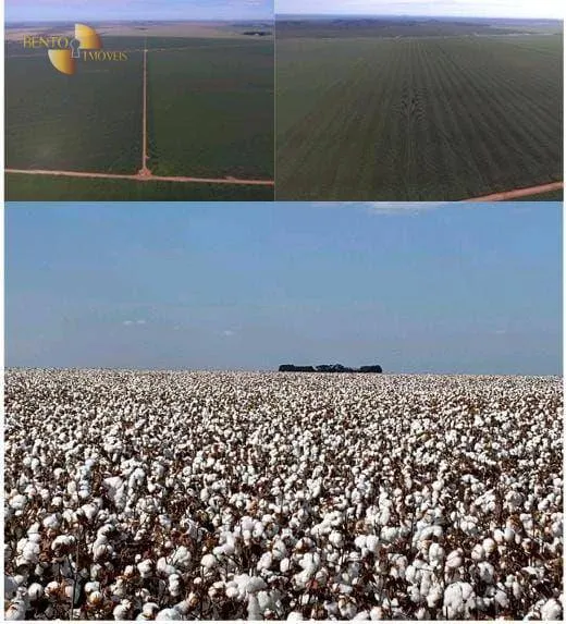 Fazenda à venda de 3.380 ha em Primavera do Leste, MT, Brasil