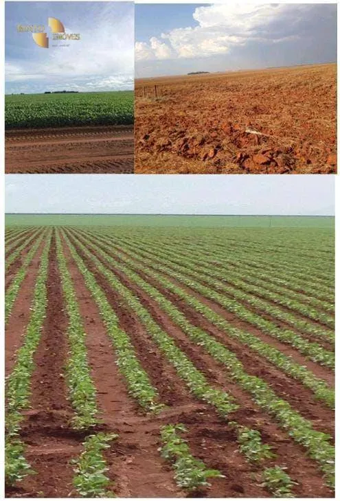 Fazenda à venda de 3.380 ha em Primavera do Leste, MT, Brasil