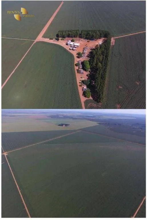Fazenda à venda de 3.380 ha em Primavera do Leste, MT, Brasil