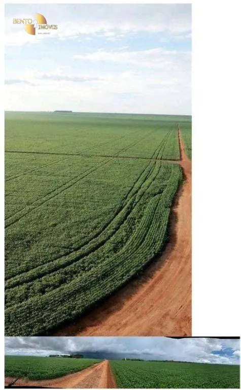 Fazenda à venda de 3.380 ha em Primavera do Leste, MT, Brasil