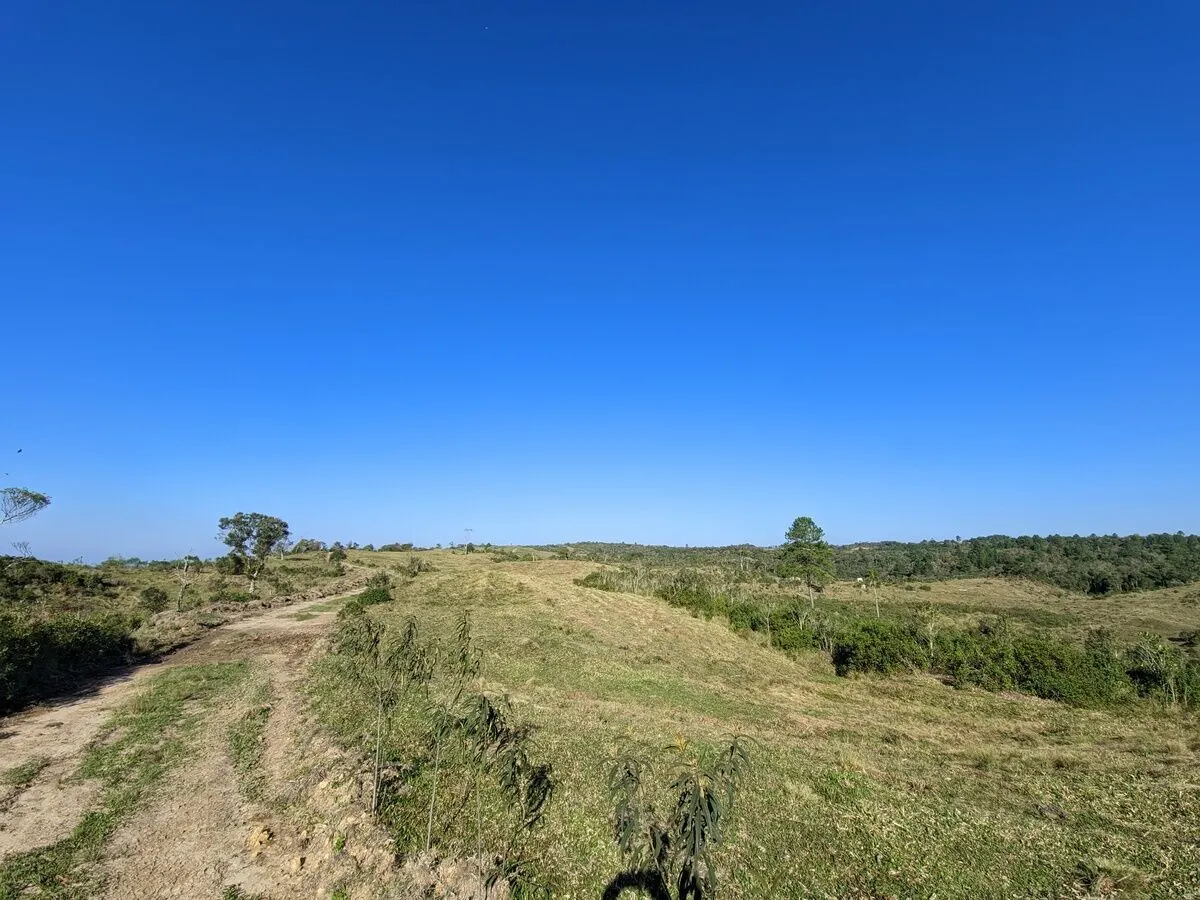 Fazenda à venda de 260 ha em Presidente Nereu, SC, Brasil