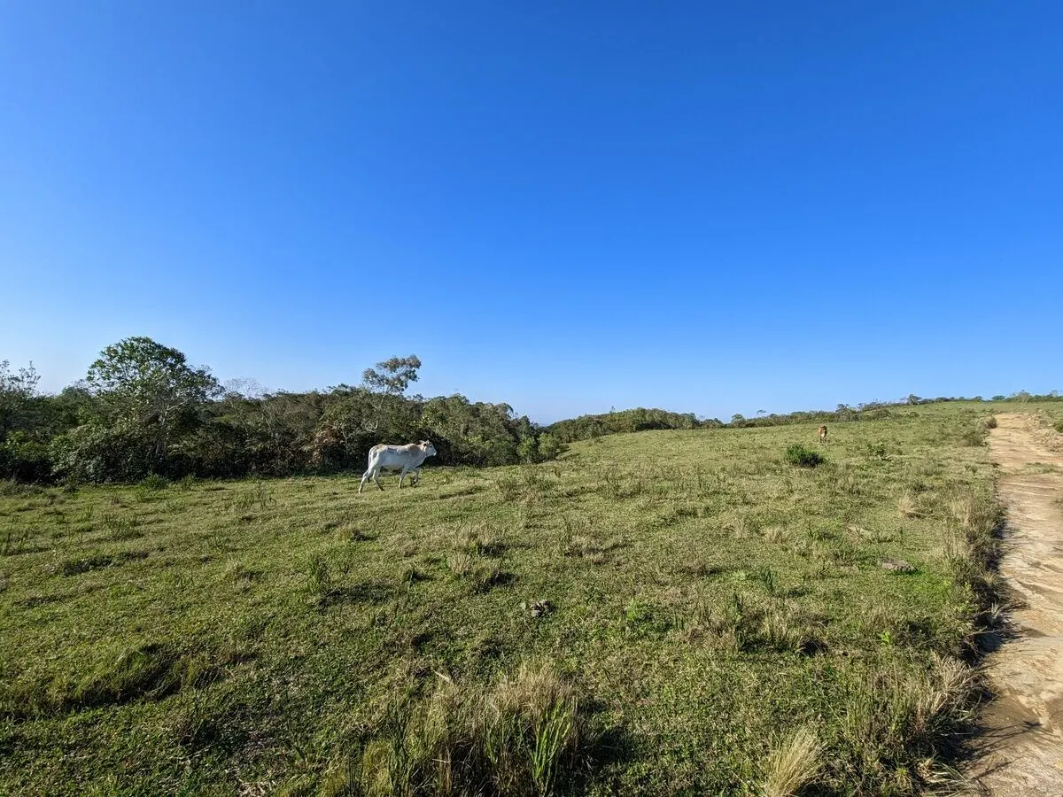 Fazenda à venda de 260 ha em Presidente Nereu, SC, Brasil