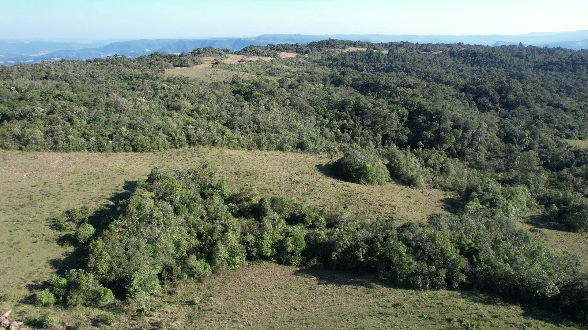 Fazenda à venda de 260 ha em Presidente Nereu, SC, Brasil