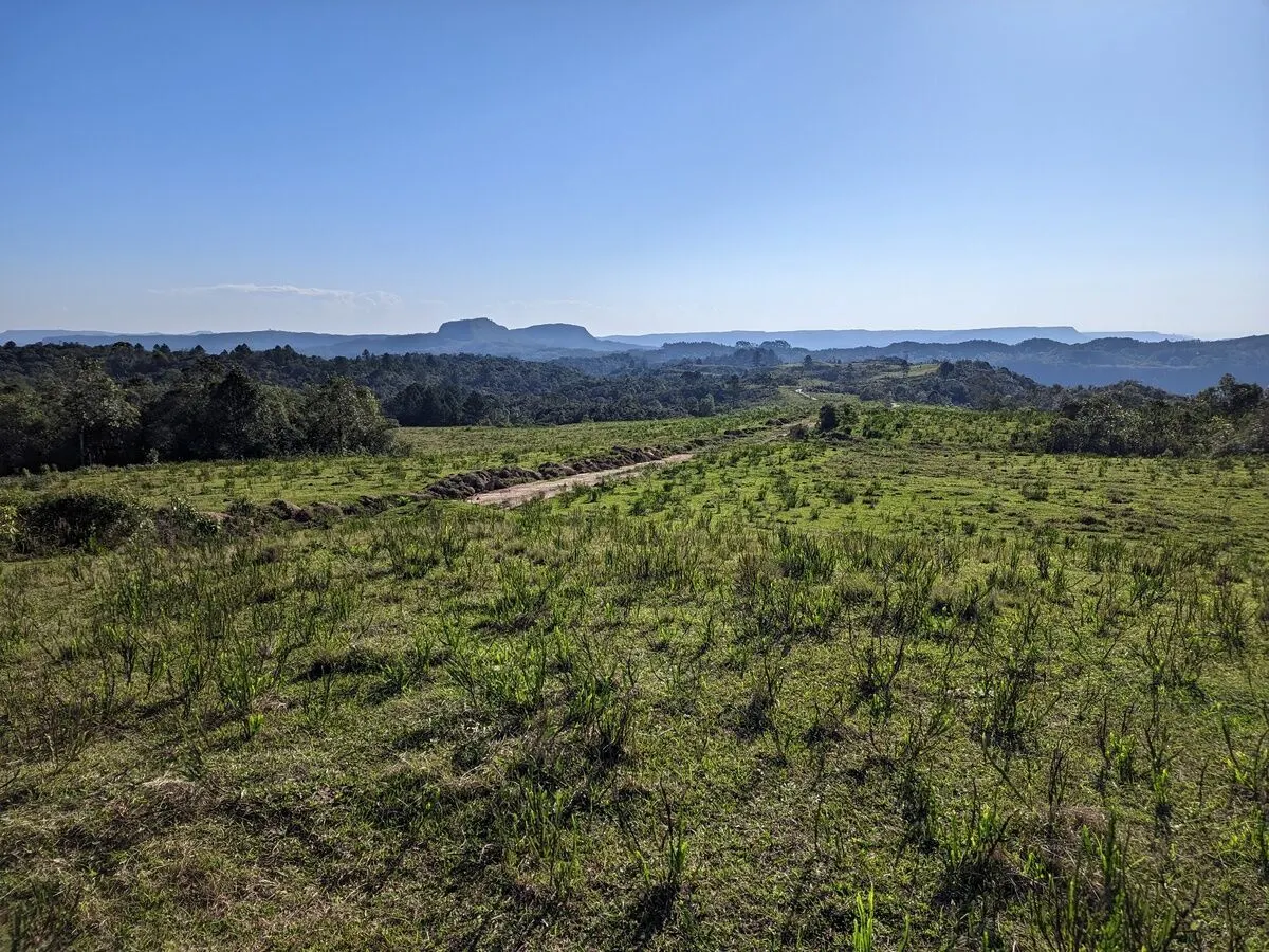 Fazenda à venda de 260 ha em Presidente Nereu, SC, Brasil