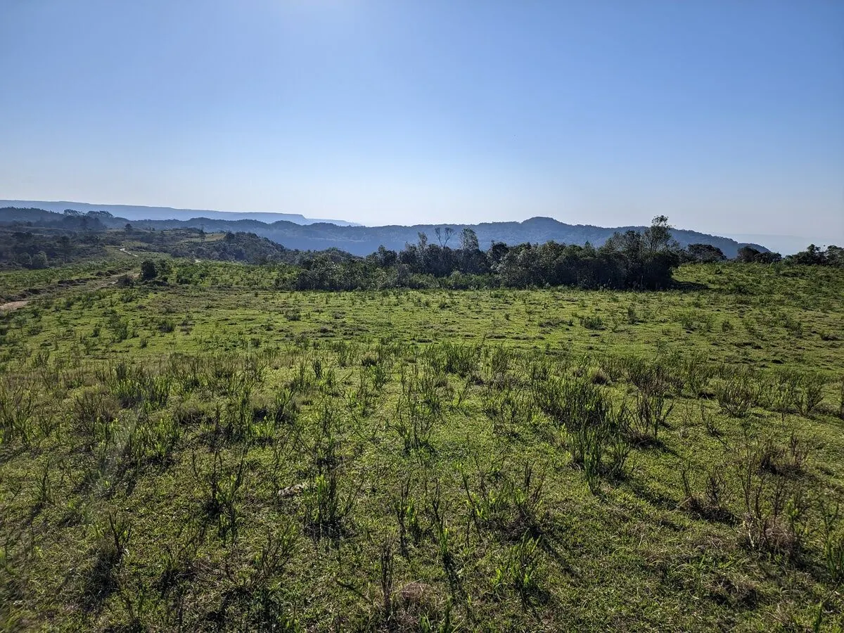 Fazenda à venda de 260 ha em Presidente Nereu, SC, Brasil