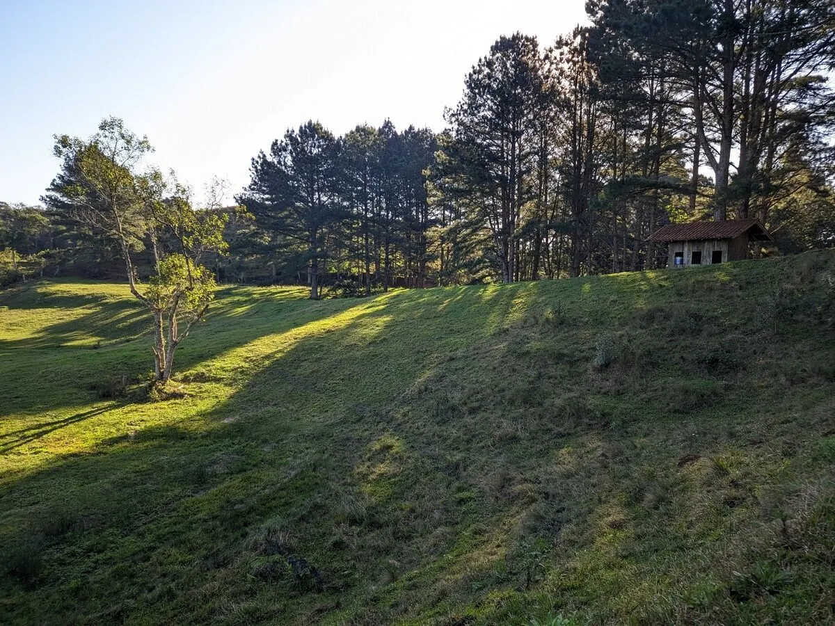 Fazenda à venda de 260 ha em Presidente Nereu, SC, Brasil