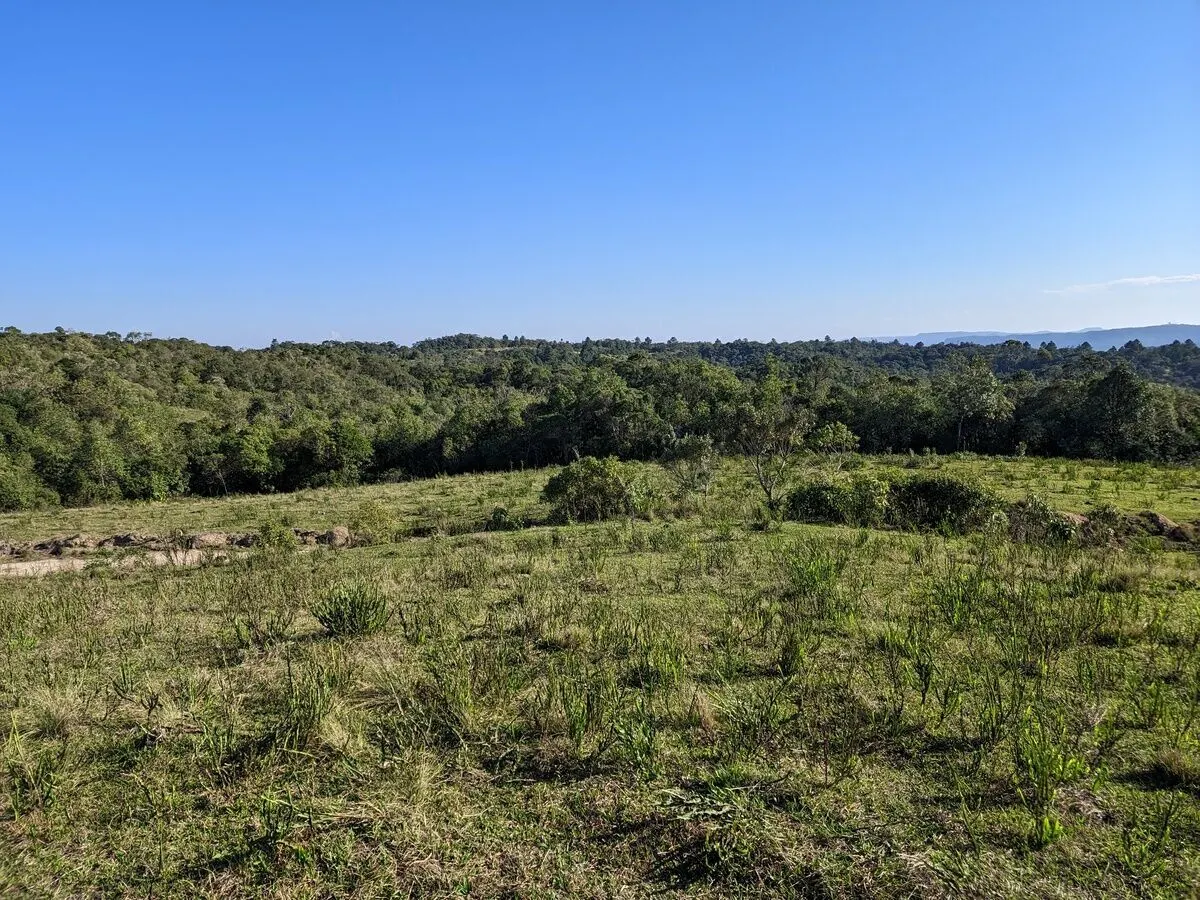 Fazenda à venda de 260 ha em Presidente Nereu, SC, Brasil