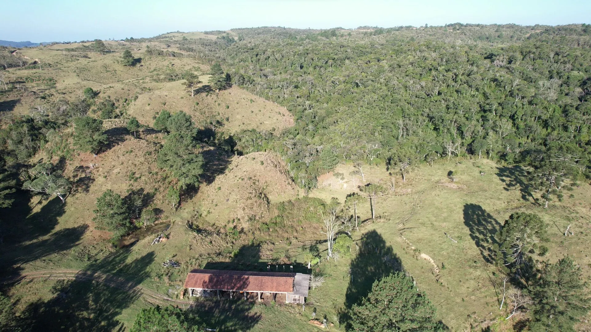Fazenda à venda de 260 ha em Presidente Nereu, SC, Brasil