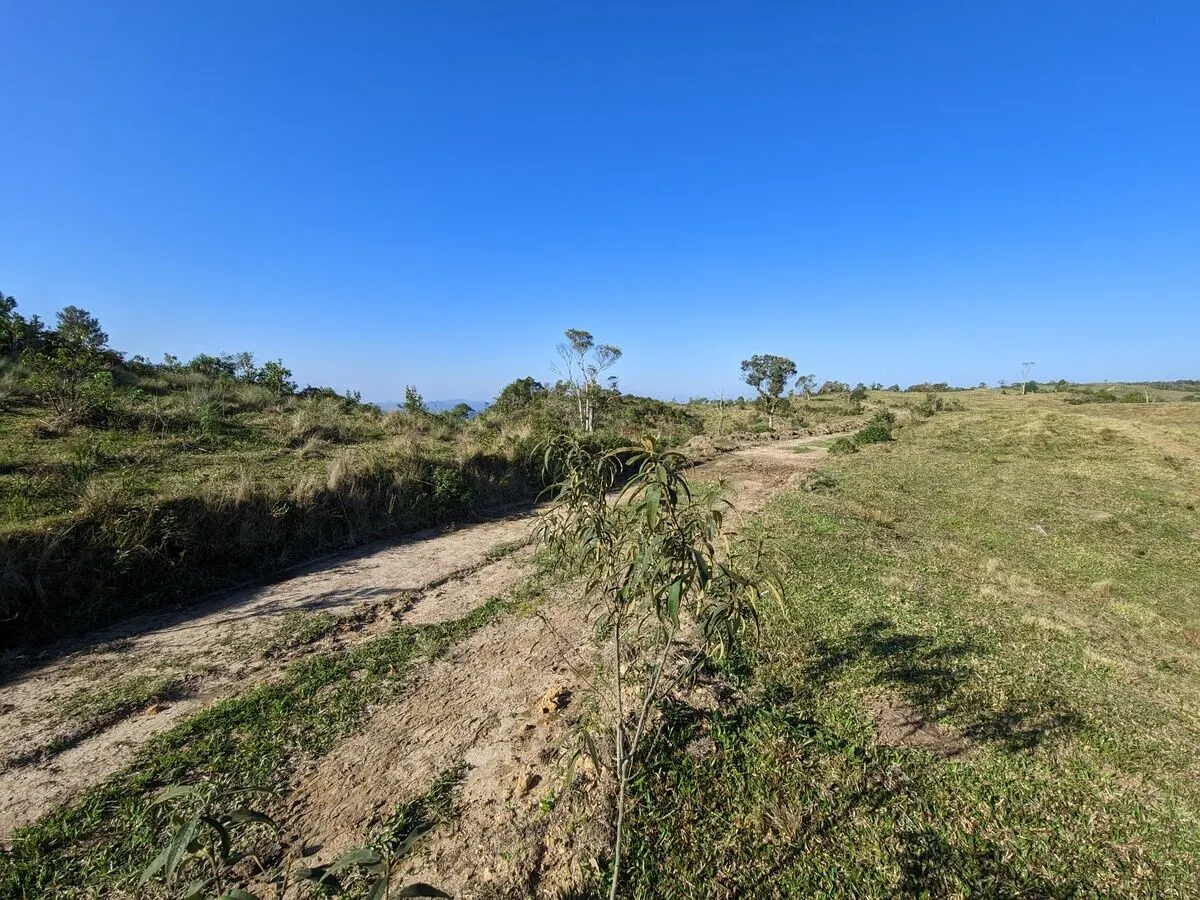 Fazenda à venda de 260 ha em Presidente Nereu, SC, Brasil