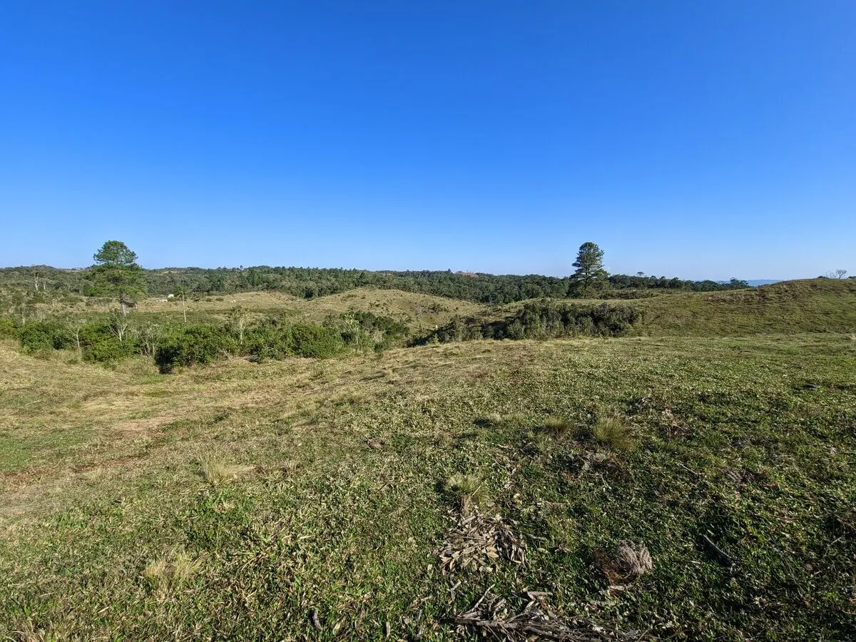 Fazenda à venda de 260 ha em Presidente Nereu, SC, Brasil