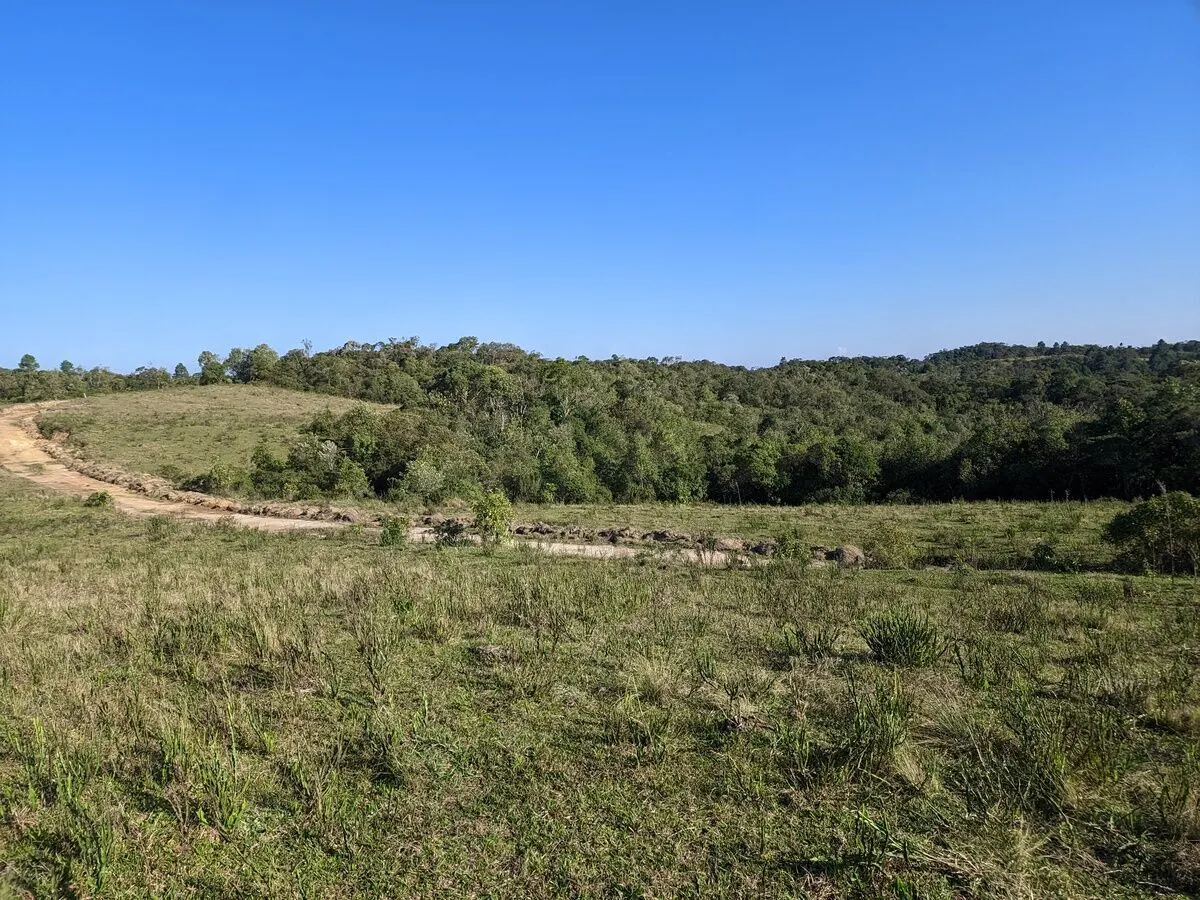 Fazenda à venda de 260 ha em Presidente Nereu, SC, Brasil