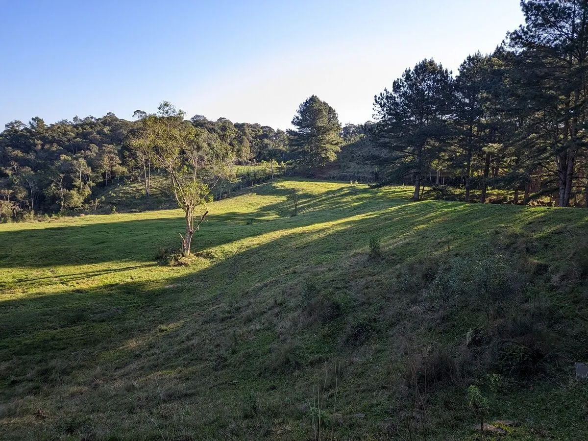 Fazenda à venda de 260 ha em Presidente Nereu, SC, Brasil