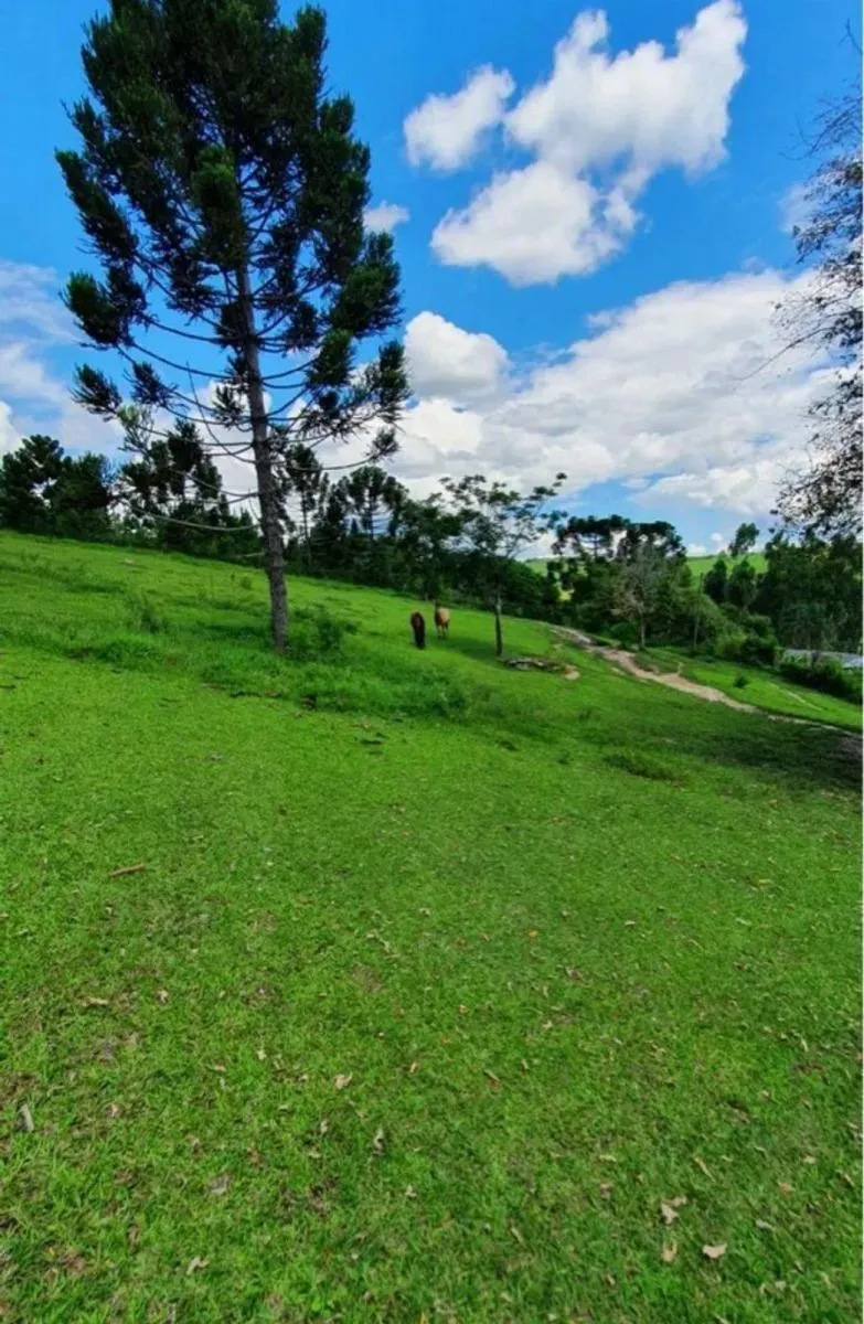 Country home for sale of 3,600 m² in Itapeva, SP, Brazil