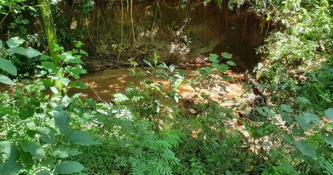 Country home for sale of 3,600 m² in Itapeva, SP, Brazil