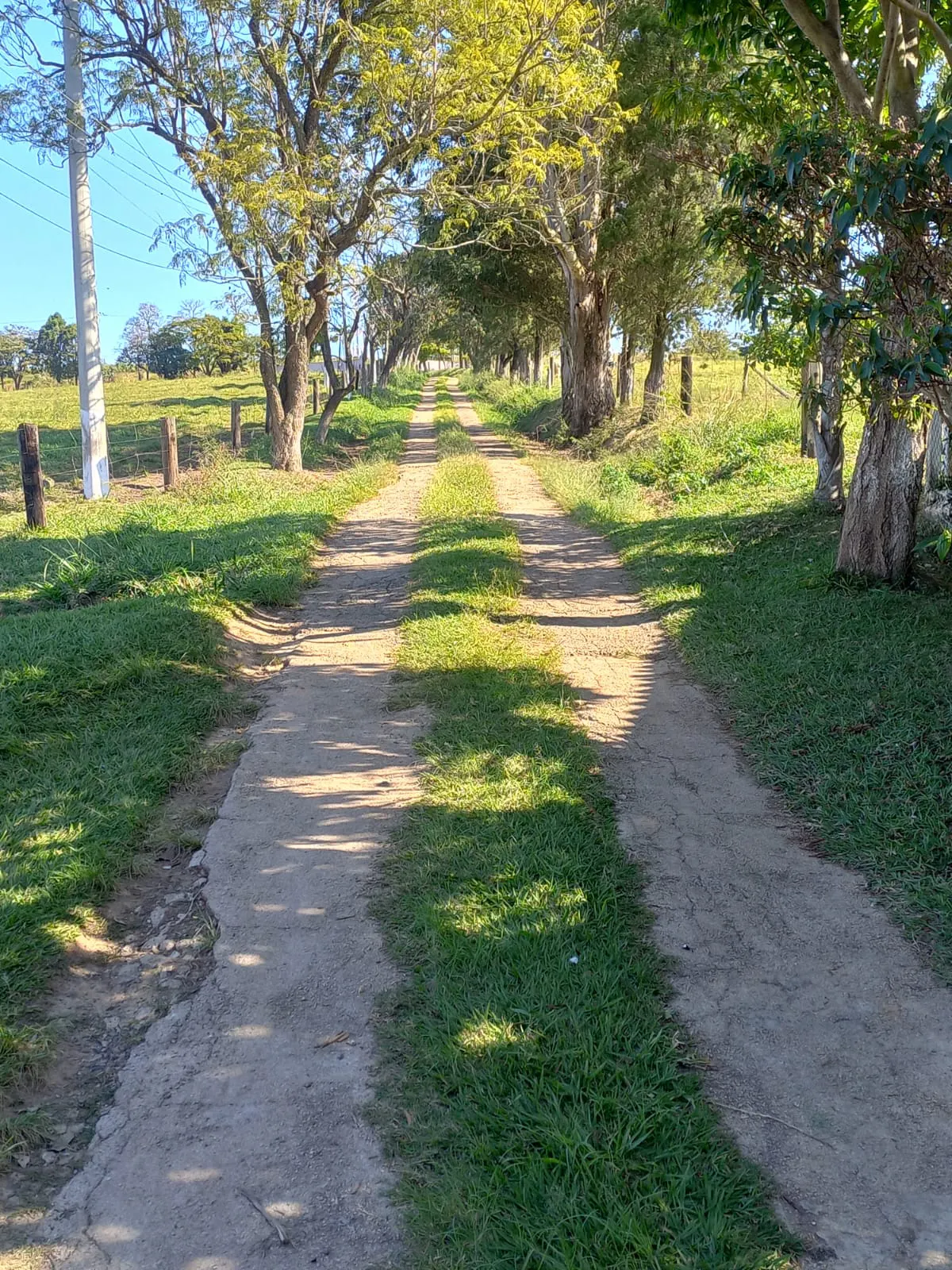 Fazenda à venda de 119 ha em Porto Feliz, SP, Brasil