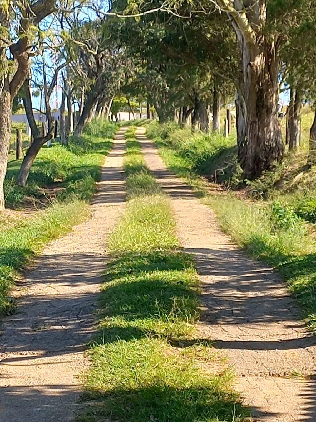 Fazenda à venda de 119 ha em Porto Feliz, SP, Brasil