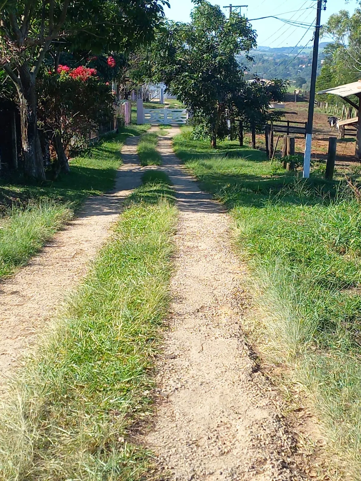 Fazenda à venda de 119 ha em Porto Feliz, SP, Brasil