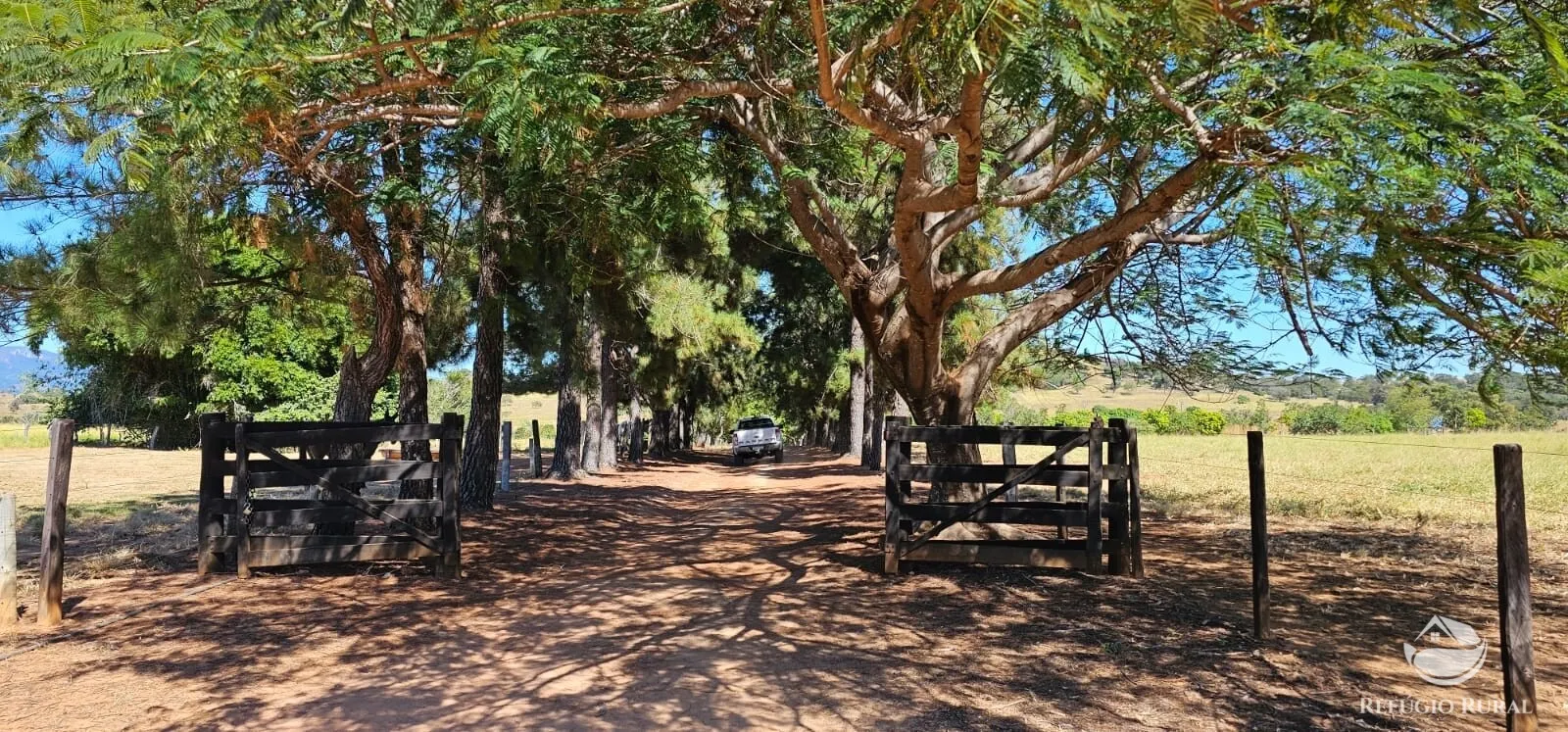 Fazenda à venda de 667 ha em Goiás, GO, Brasil