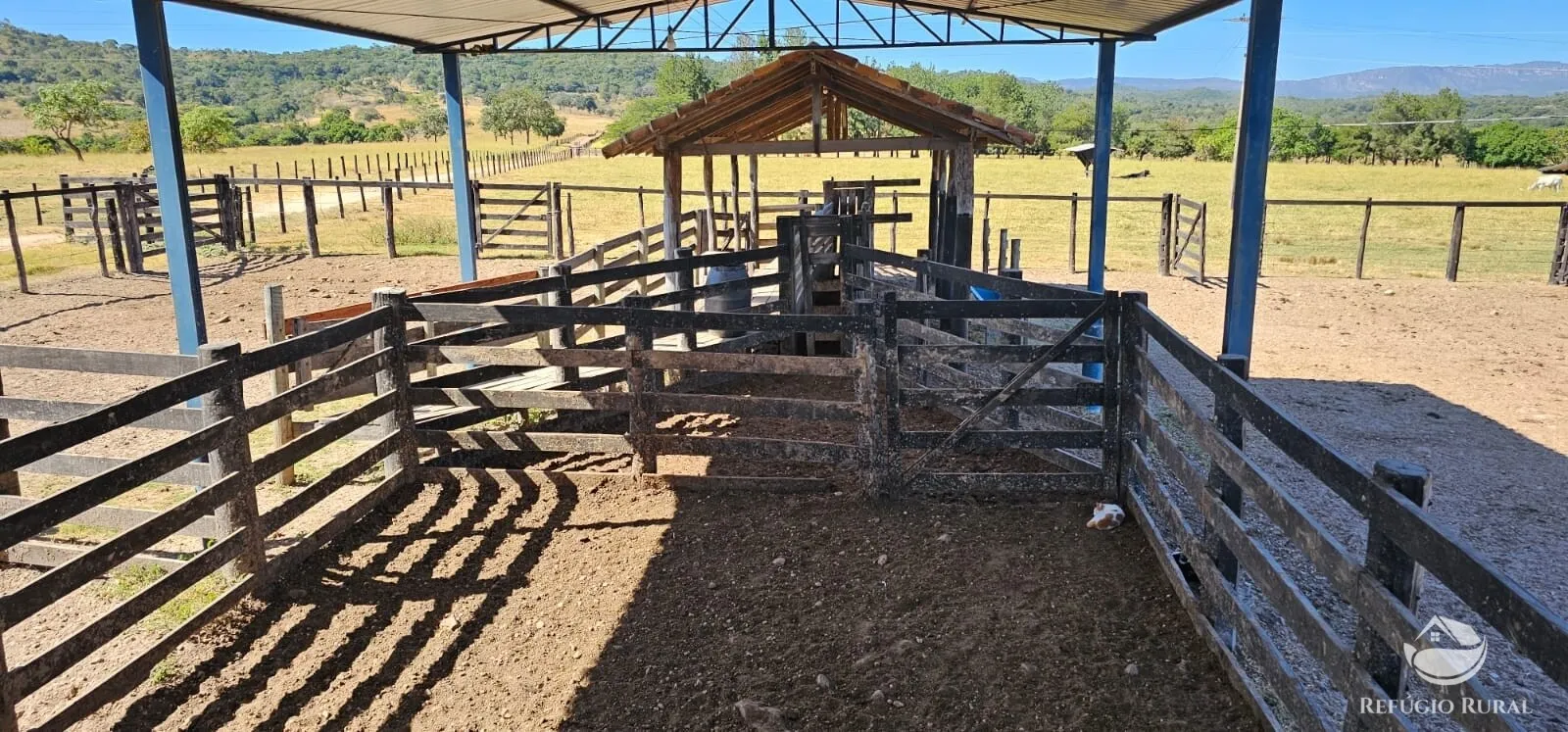 Fazenda à venda de 667 ha em Goiás, GO, Brasil