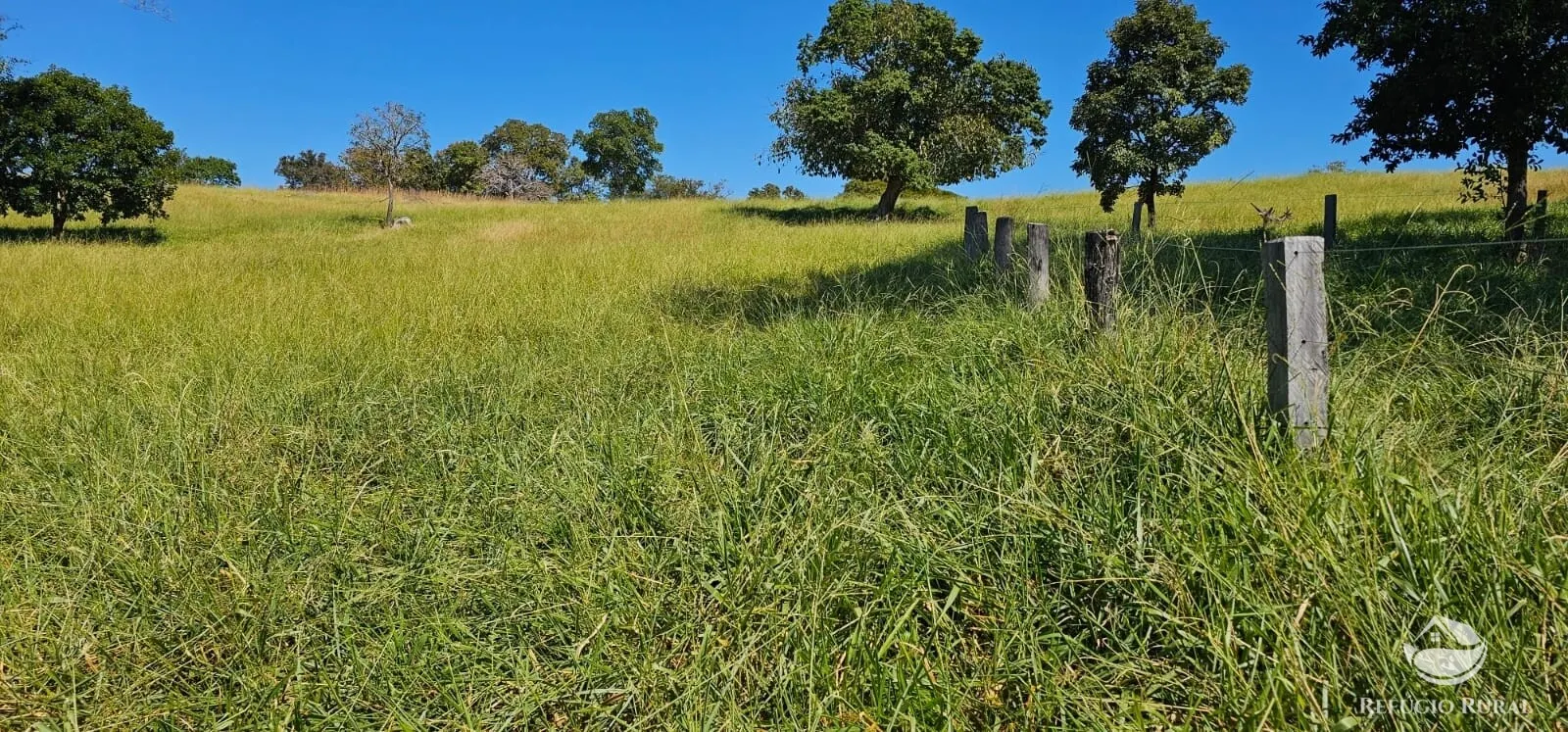Fazenda à venda de 667 ha em Goiás, GO, Brasil