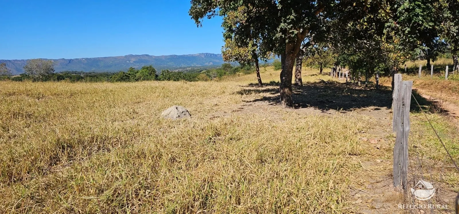 Fazenda à venda de 667 ha em Goiás, GO, Brasil