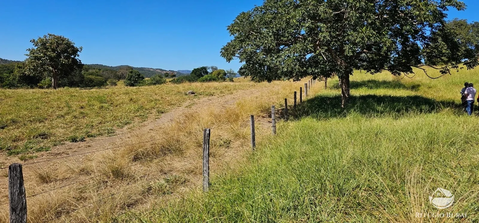 Fazenda à venda de 667 ha em Goiás, GO, Brasil