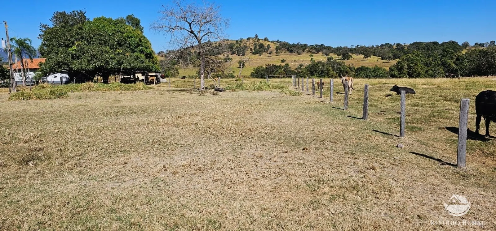 Fazenda à venda de 667 ha em Goiás, GO, Brasil
