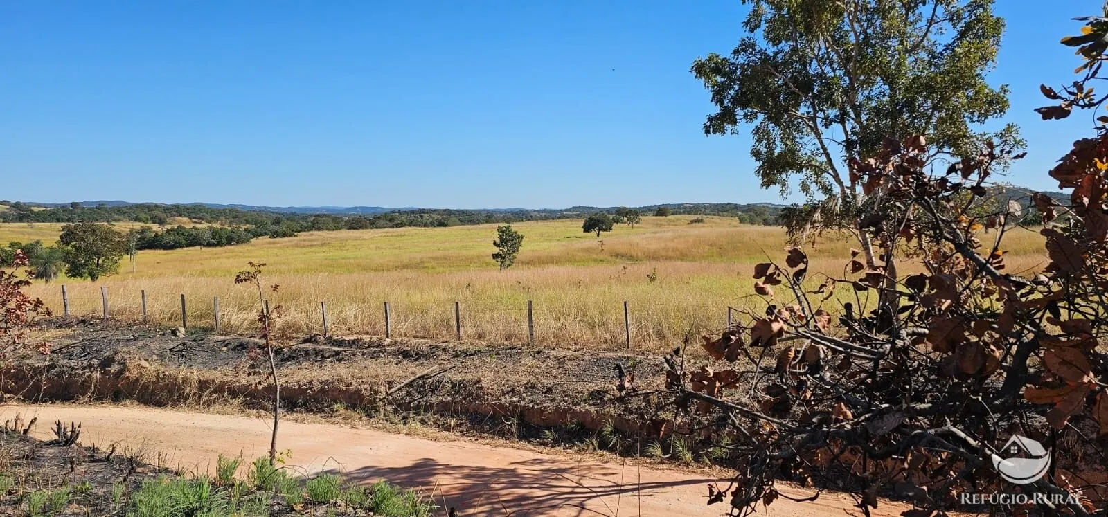 Fazenda à venda de 667 ha em Goiás, GO, Brasil