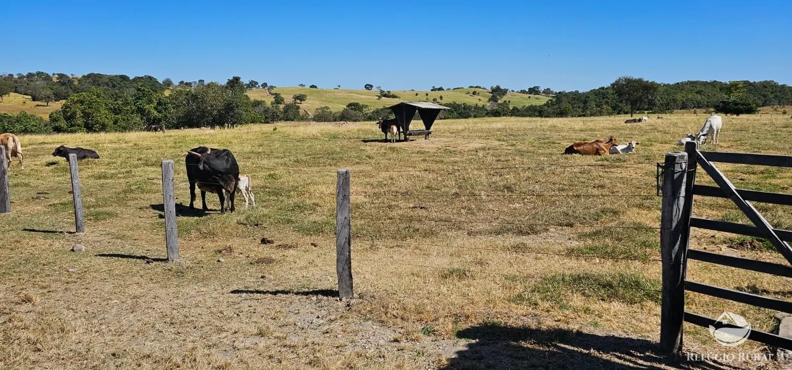 Fazenda à venda de 667 ha em Goiás, GO, Brasil