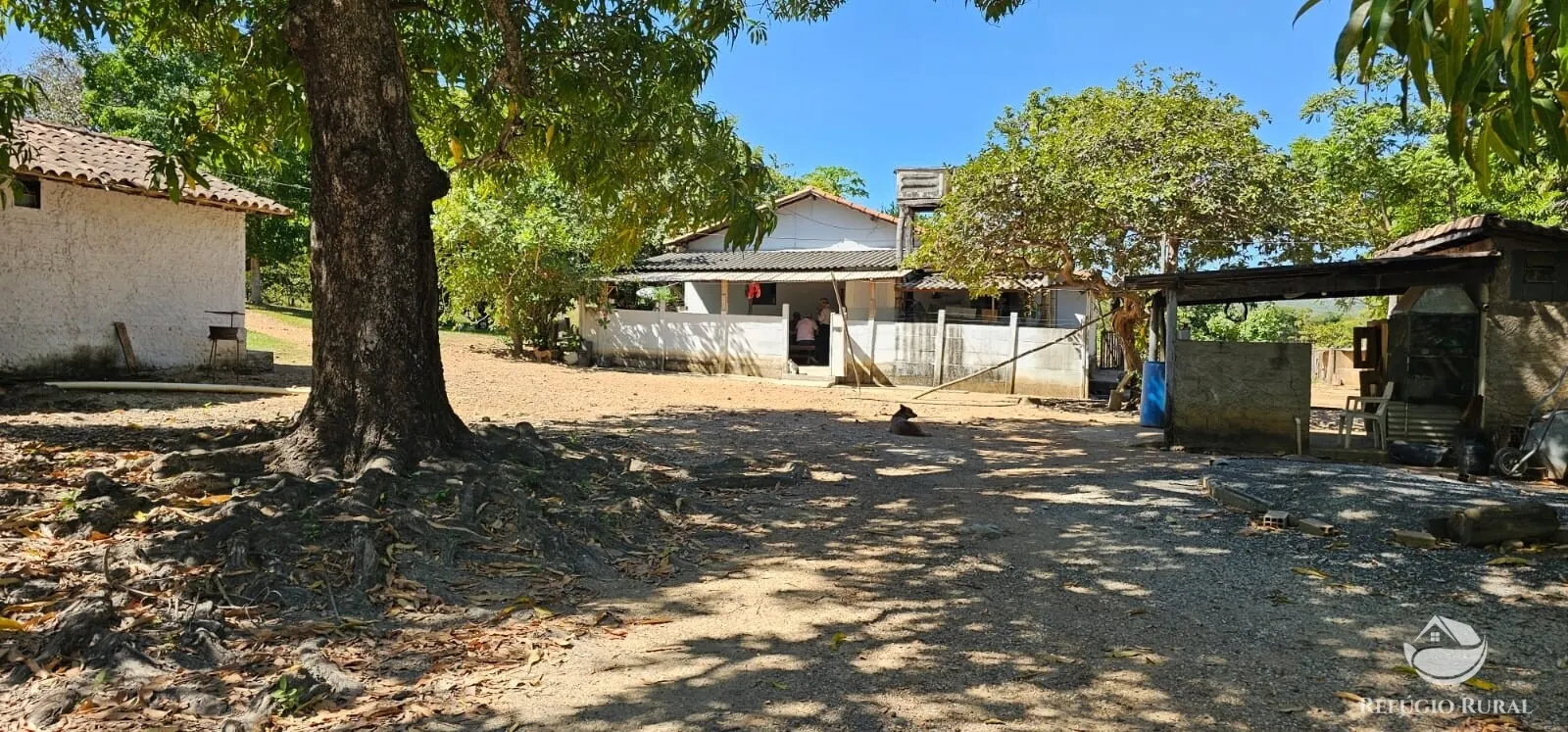 Fazenda à venda de 667 ha em Goiás, GO, Brasil