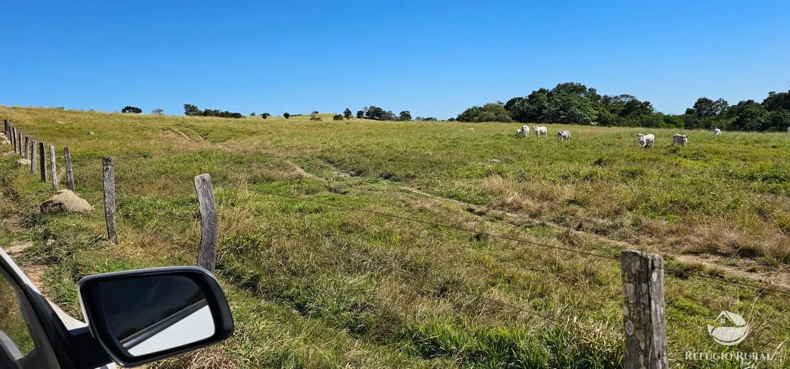 Fazenda à venda de 667 ha em Goiás, GO, Brasil