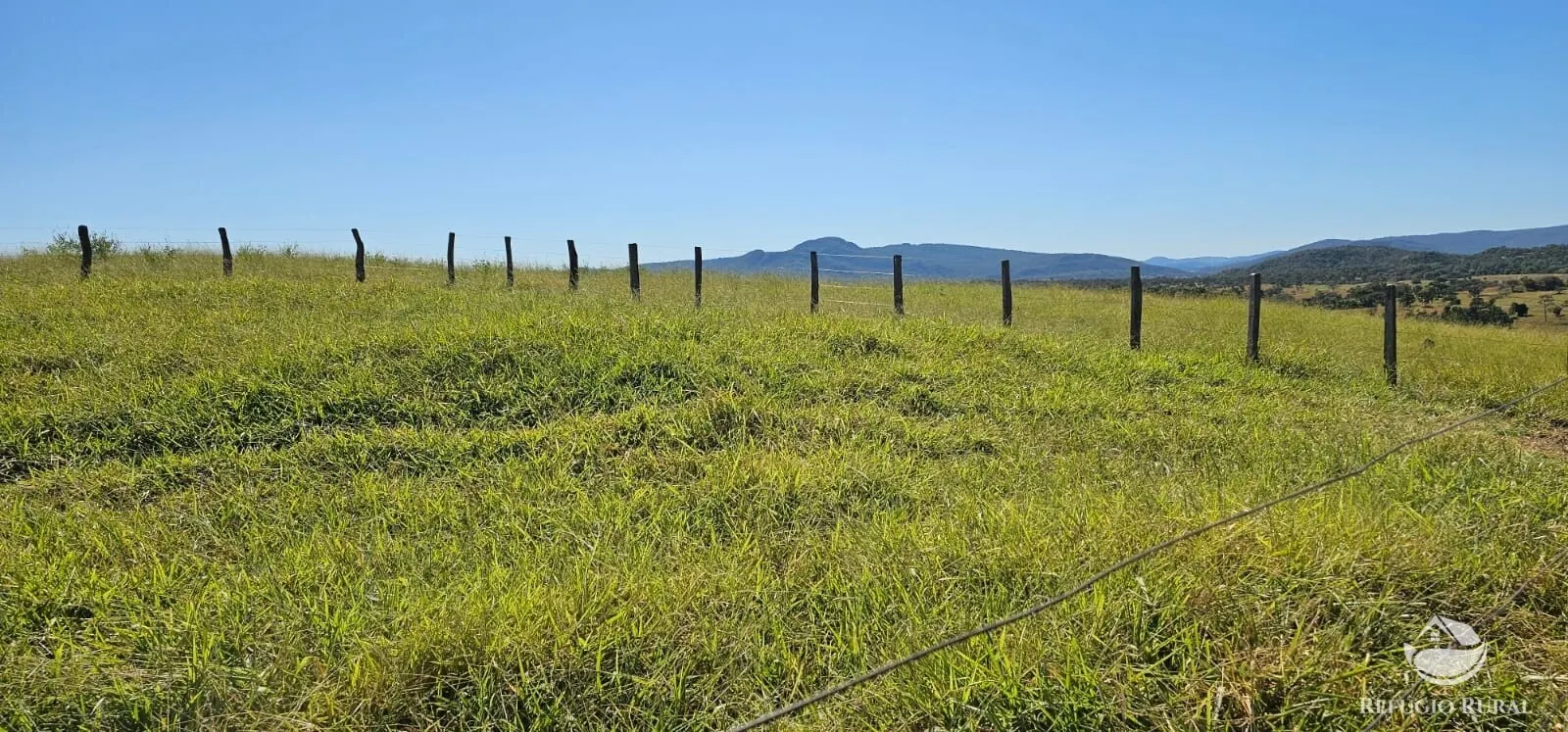 Fazenda à venda de 667 ha em Goiás, GO, Brasil