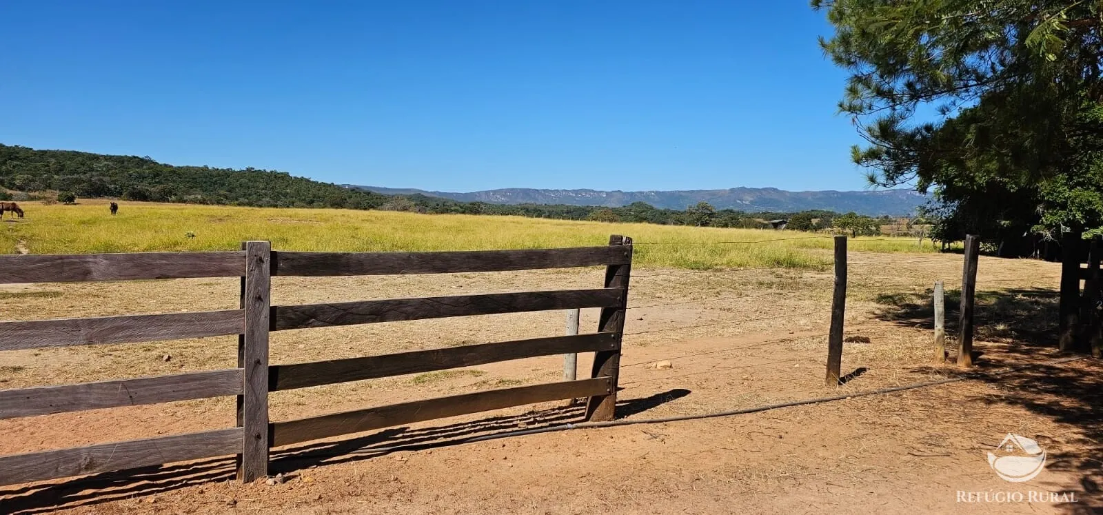 Fazenda à venda de 667 ha em Goiás, GO, Brasil