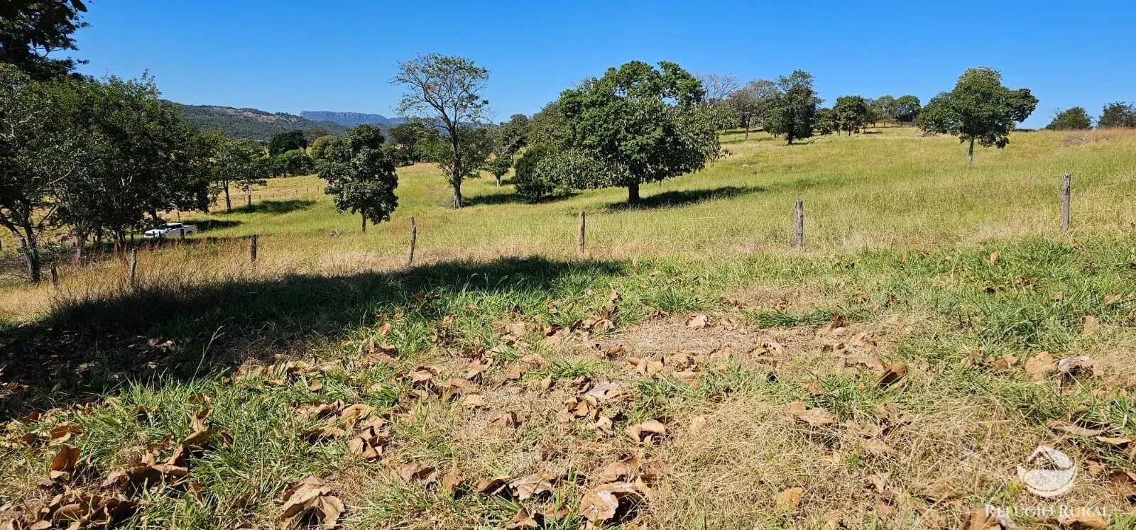 Fazenda à venda de 667 ha em Goiás, GO, Brasil