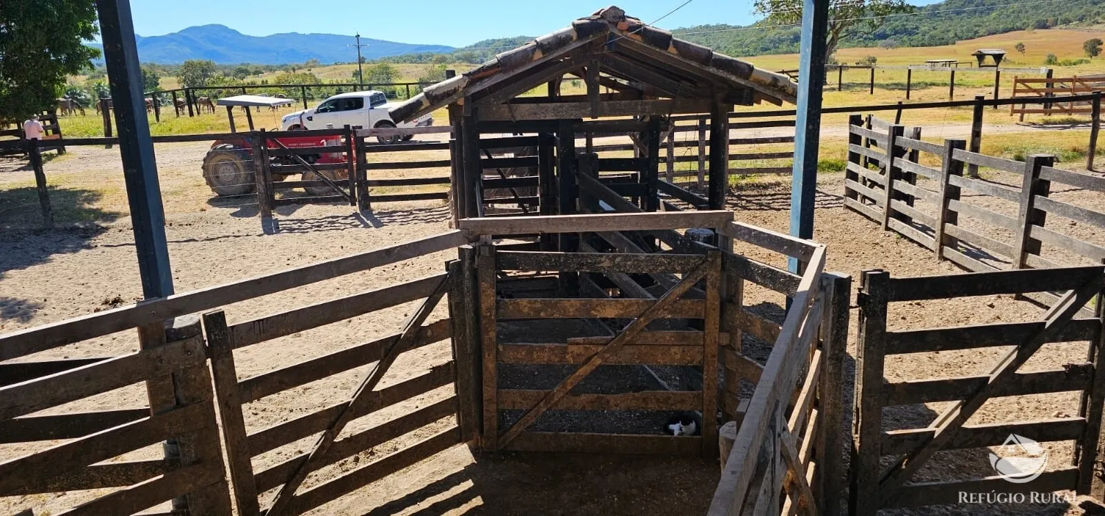 Fazenda à venda de 667 ha em Goiás, GO, Brasil