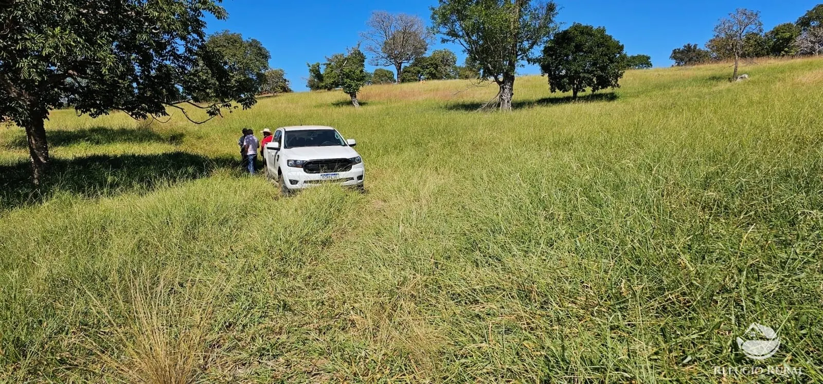 Fazenda à venda de 667 ha em Goiás, GO, Brasil